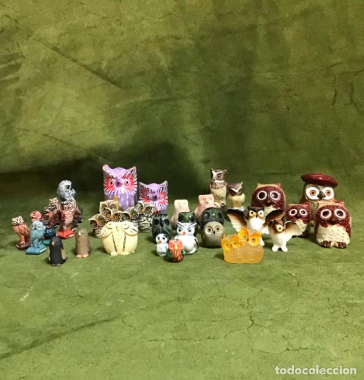 Coleccionismo: COLECCI&Oacute;N DE B&Uacute;HOS - Foto 1