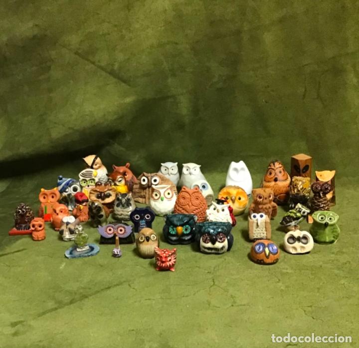 Coleccionismo: COLECCI&Oacute;N DE B&Uacute;HOS - Foto 37
