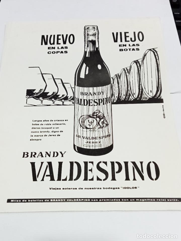 Sammelleidenschaft Papier: PUBLICIDAD. BRANDY VALDESPINO. JEREZ. 25 X 30 CM