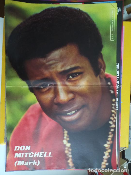 Coleccionismo: poster de don mitchell mark ironside anuncio coppertone tulipan