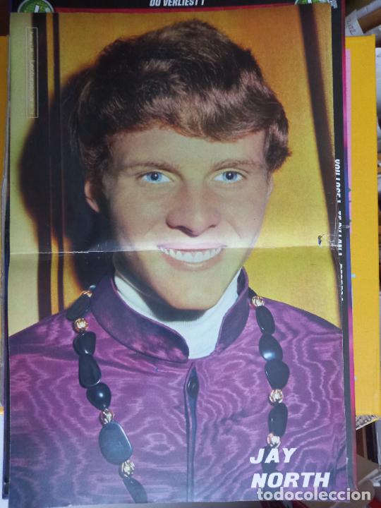 Coleccionismo: poster jay north calzoncillos olympic zanussi
