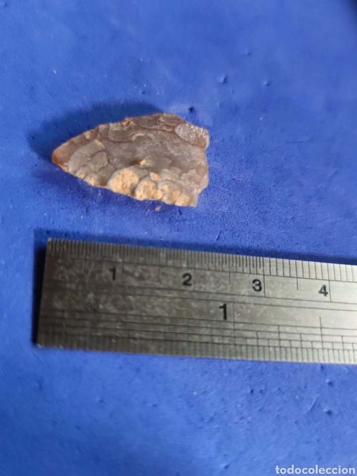 Coleccionismo: Punta de flecha silex caza - Foto 2