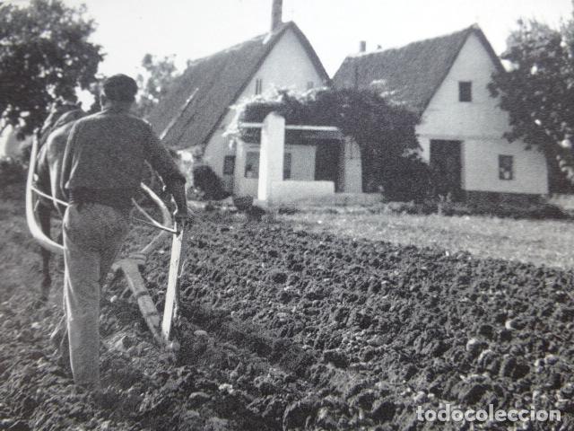 Coleccionismo: VALENCIA LA ALBUFERA ANTIGUO HUECOGRABADO