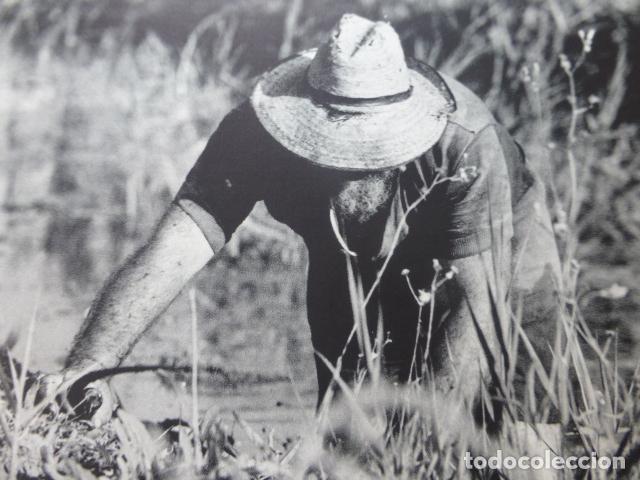 Coleccionismo: VALENCIA LA HUERTA ANTIGUO HUECOGRABADO