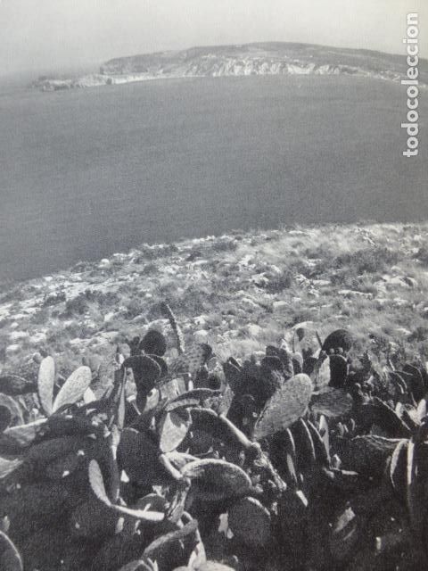 Collecting paper: LA MARINA ALICANTE CABO DE SAN ANTONIO ANTIGUO HUECOGRABADO