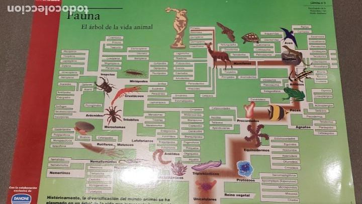 Coleccionismo: 7 LAMINAS DE EL PERIODICO Y DANONE - Foto 3