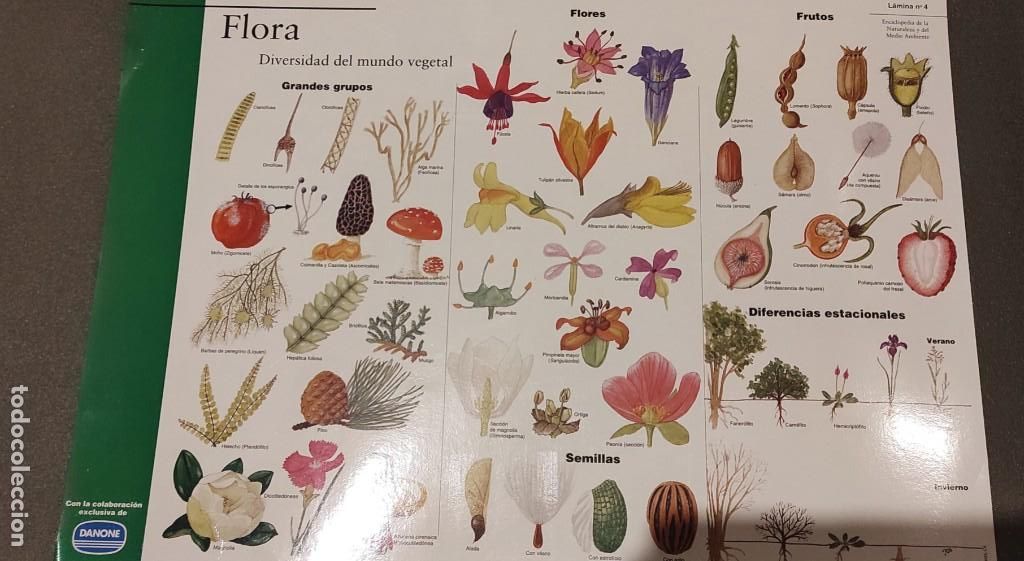 Coleccionismo: 7 LAMINAS DE EL PERIODICO Y DANONE - Foto 4