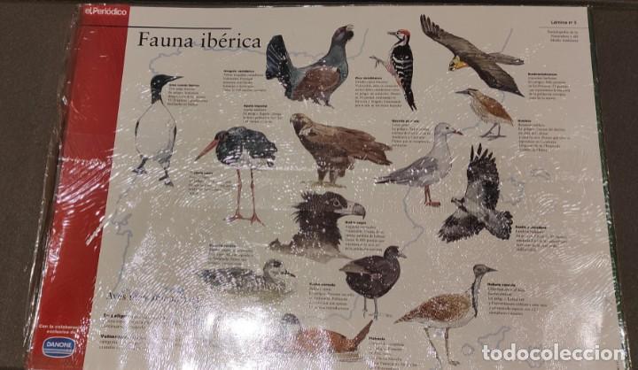 Coleccionismo: 7 LAMINAS DE EL PERIODICO Y DANONE - Foto 5