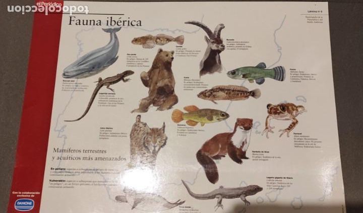 Coleccionismo: 7 LAMINAS DE EL PERIODICO Y DANONE - Foto 6