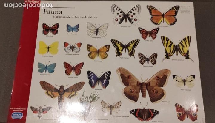 Coleccionismo: 7 LAMINAS DE EL PERIODICO Y DANONE - Foto 7