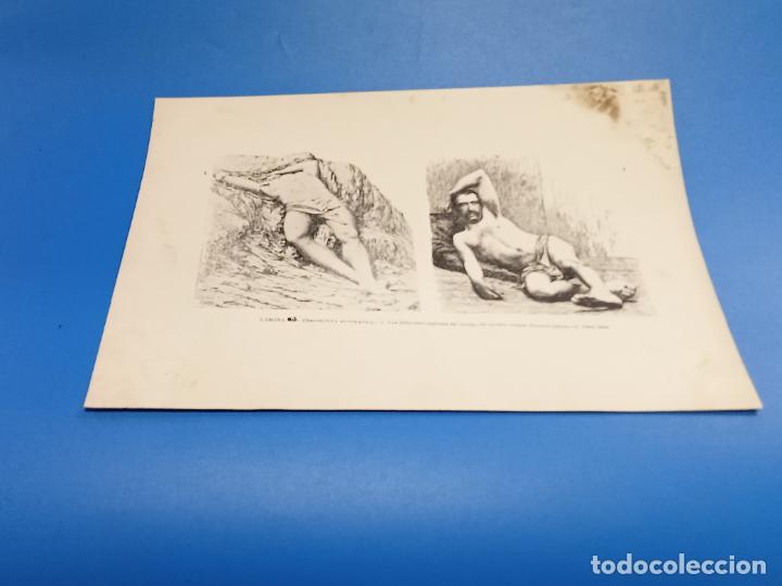 Collecting paper: LAMINA. 65. PERSPECTIVA AUTOM&Aacute;TICA. 1. LAS DIFERENTES REGIONES DEL CUERPO DEL MODELO. 2. IDEM IDEM.
