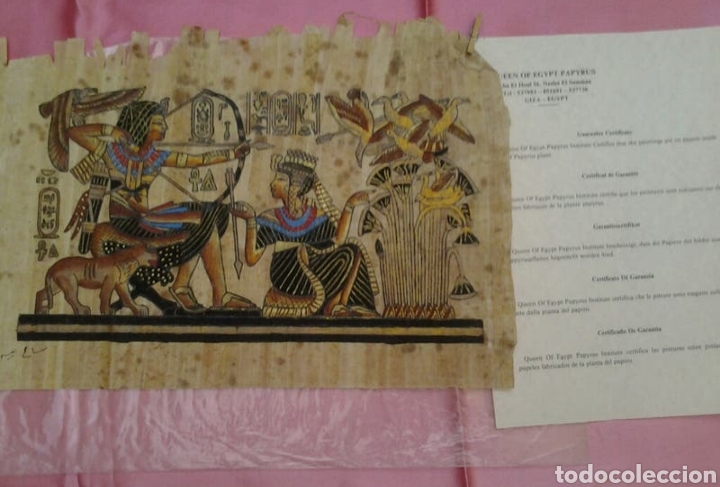 Coleccionismo: PAPIRO EGIPCIO AUT&Eacute;NTICO - Foto 2