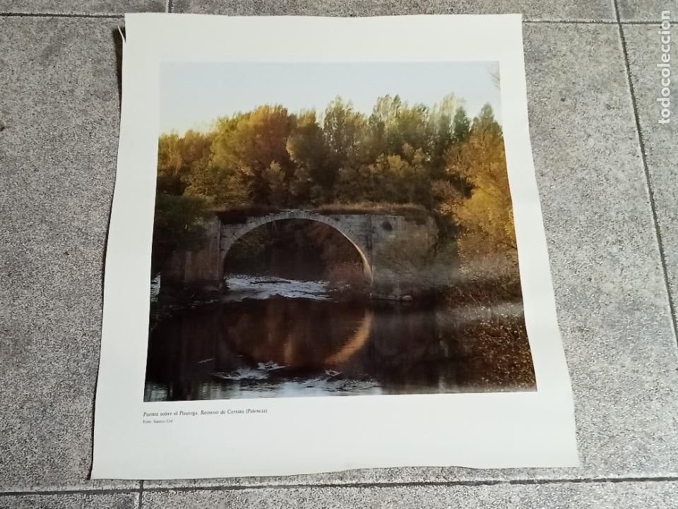 Collezionismo: LAMINA. IMAGEN DE PUENTE SOBRER EL RIO PISUERGA. REINOSO DE CERRATO. PALENCIA. 35 X 35