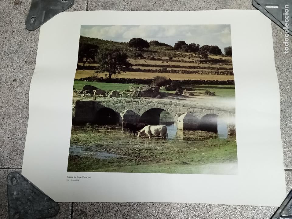 Collezionismo: LAMINA. IMAGEN DE PUENTE DE SOGO. ZAMORA. 44 X 37 CM