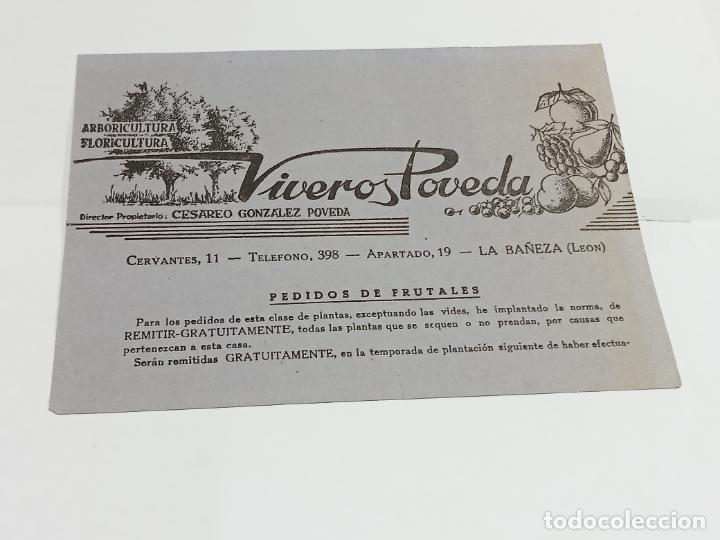 Collezionismo: PUBLICIDAD. VIVEROS POVEDA. CES&Aacute;REO GONZALEZ POVEDA. LA BA&Ntilde;EZA, LE&Oacute;N. 1963. VER DORSO. 16 X 11
