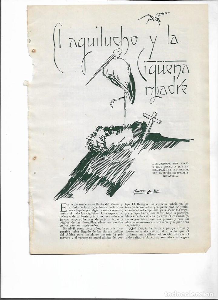 Colecionismo: 1936 RECORTE PRENSA RELATO CORTO EL AGUILUCHO Y LA CIGUE&Ntilde;A MADRE JOSE MAS DIBUJO MARTINEZ DE LEON