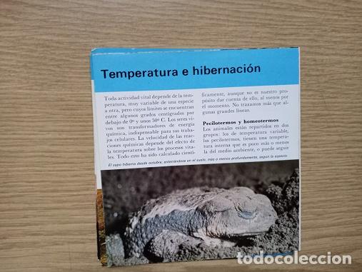 Coleccionismo: FICHA - TEMPERATURA E HBERNACION - Foto 1