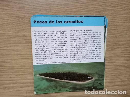 Coleccionismo: FICHA - PECES DE LOS ARRECIFES - Foto 1