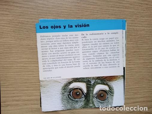 Coleccionismo: FICHA - LOS OJOS Y LA VISION - Foto 1