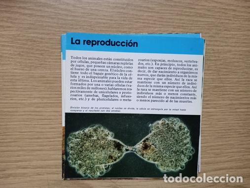 Coleccionismo: FICHA - LA REPRODUCCION - Foto 1