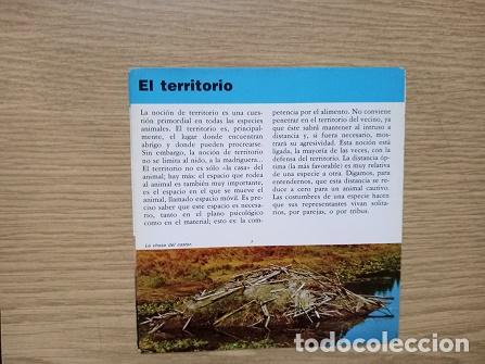 Coleccionismo: FICHA - EL TERRITORIO - Foto 1