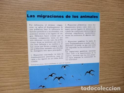 Coleccionismo: FICHA - LAS MIGRACIONES DE LOS ANIMALES - Foto 1