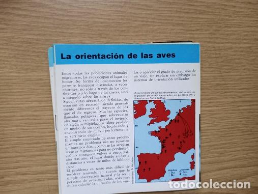 Coleccionismo: FICHA - LA ORIENTACION DE LAS AVES - Foto 1