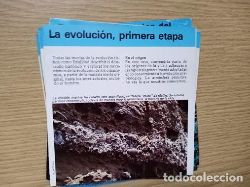 Coleccionismo: FICHA - LA EVOLUCION PRIMERA ETAPA - Foto 1