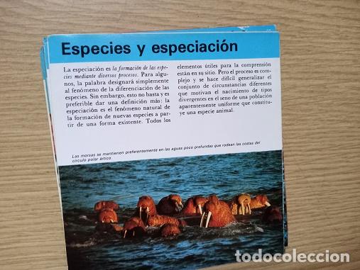 Coleccionismo: FICHA - ESPECIES Y ESPECIACION - Foto 1