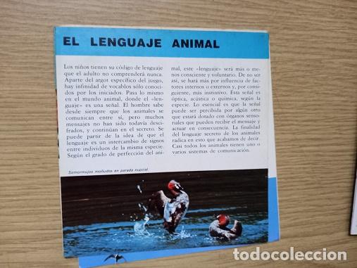 Coleccionismo: FICHA - EL LENGUAJE ANIMAL - Foto 1