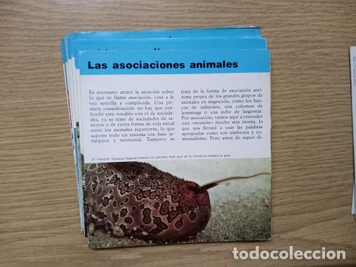 Coleccionismo: FICHA - LAS ASOCIACIONES ANIMALES - Foto 1