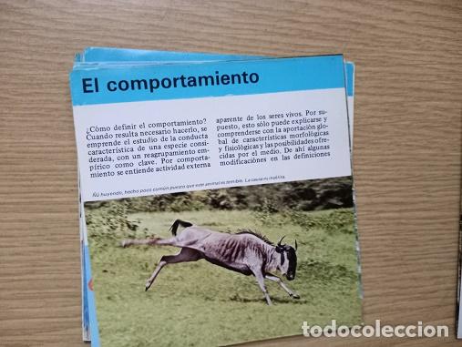 Coleccionismo: FICHA - EL COMPORTAMIENTO - Foto 1