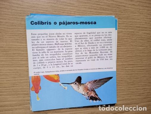 Coleccionismo: FICHA - COLIBRIS O PAJAROS-MOSCA - Foto 1