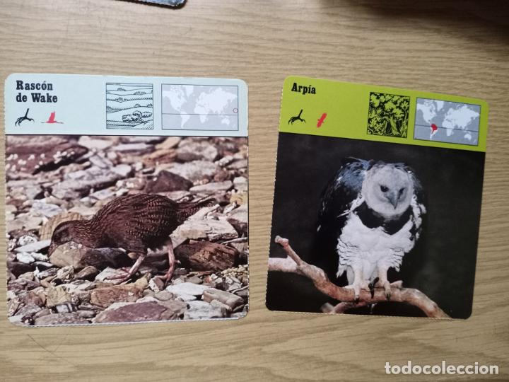 Coleccionismo: FICHAS ANIMALES - RASCON DE WAKE - ARPIA - Foto 1
