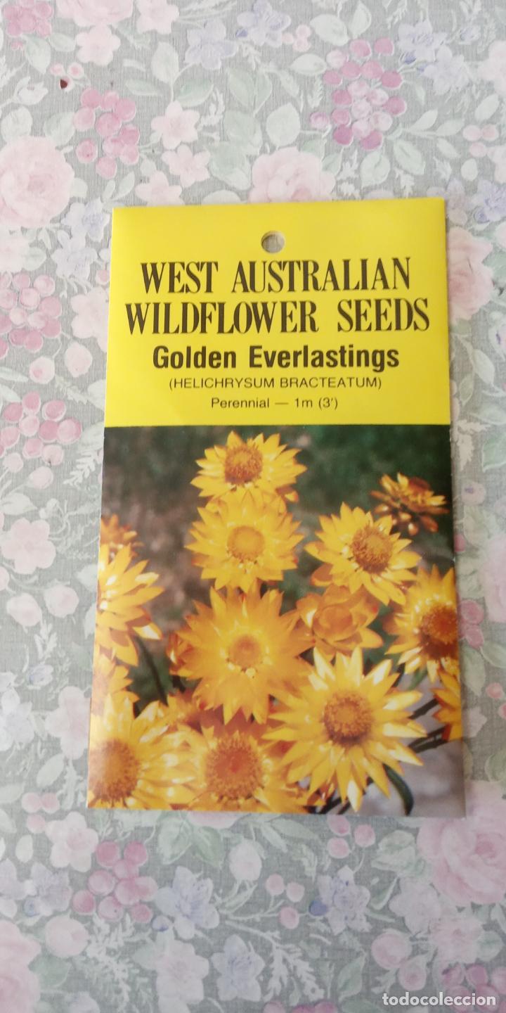 Coleccionismo: SEMILLAS GOLDEN EVERLASTINGS. WEST AUSTRALIAN.