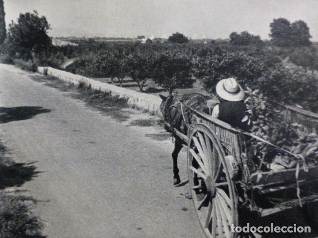 Coleccionismo: CASTELLON DE LA PLANA ANTIGUA LAMINA HUECOGRABADO