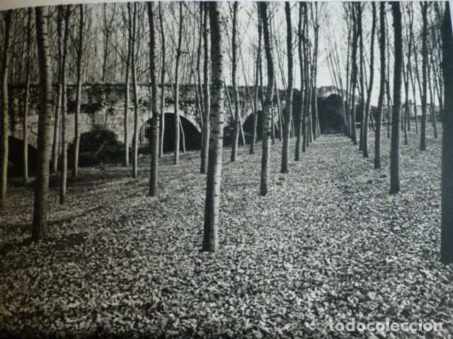 Coleccionismo: TALAMANCA DEL JARAMA MADRID ANTIGUO HUECOGRABADO