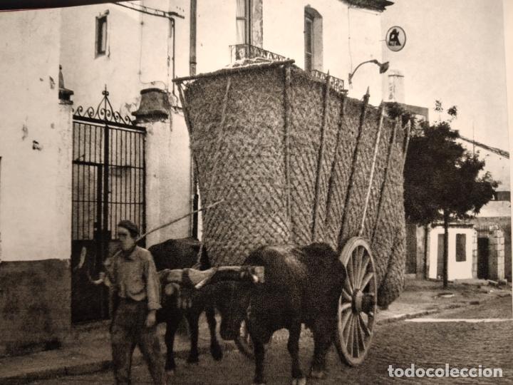 Coleccionismo: COLMENAR VIEJO MADRID ANTIGUO HUECOGRABADO