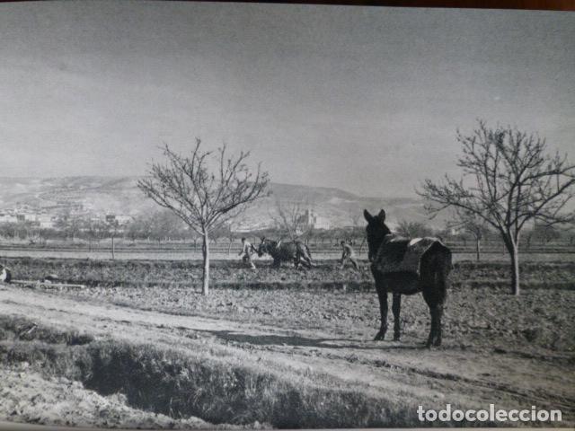 Coleccionismo: MORATA DE TAJU&Ntilde;A MADRID ANTIGUO HUECOGRABADO