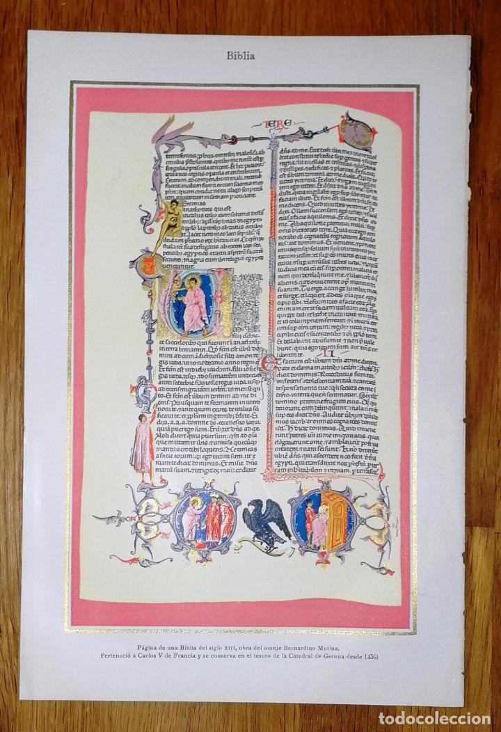 Colecionismo: L&Aacute;MINA. BIBLIA : P&aacute;gina de una biblia del siglo XIII / Bernardino Mutina.- Jos&eacute; Espasa e Hijos, 1924