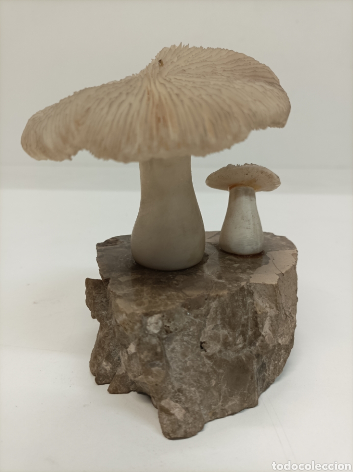 Coleccionismo: Figuras setas - Foto 2