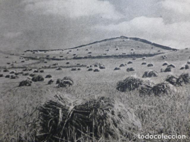 Sammelleidenschaft Papier: MERCADAL MENORCA ANTIGUO HUECOGRABADO