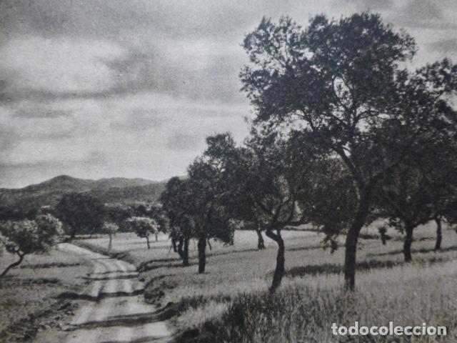 Collectionnisme: SAN JUAN IBIZA ANTIGUO HUECOGRABADO