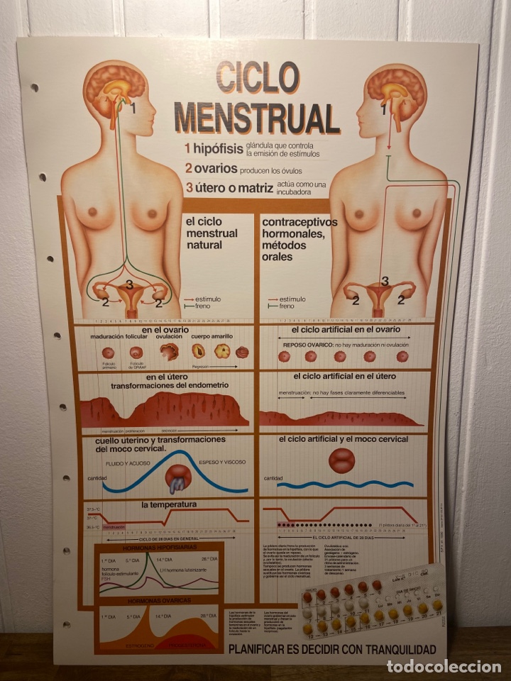 Coleccionismo: 6 L&aacute;minas de medicina - Foto 5