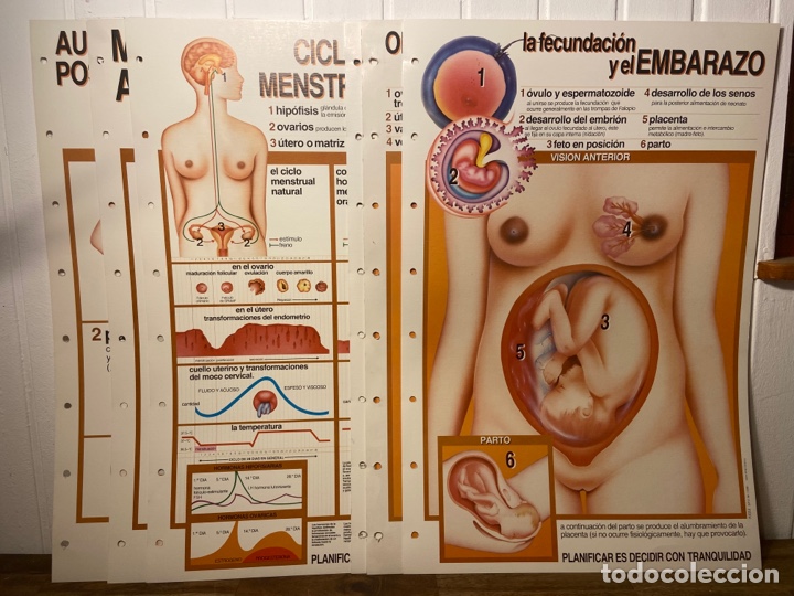 Coleccionismo: 6 L&aacute;minas de medicina - Foto 1