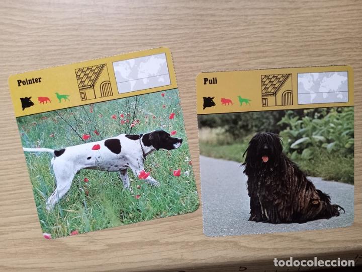 Coleccionismo: FICHAS ANIMALES --- POINTER - PULL - Foto 1