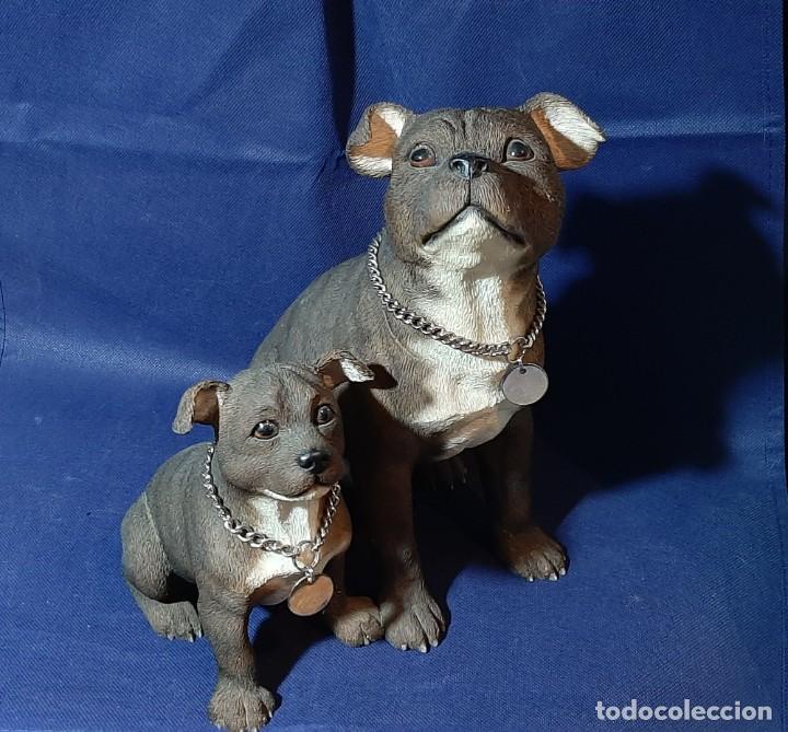 Coleccionismo: Perros The Leonardo collection dogs - Foto 1