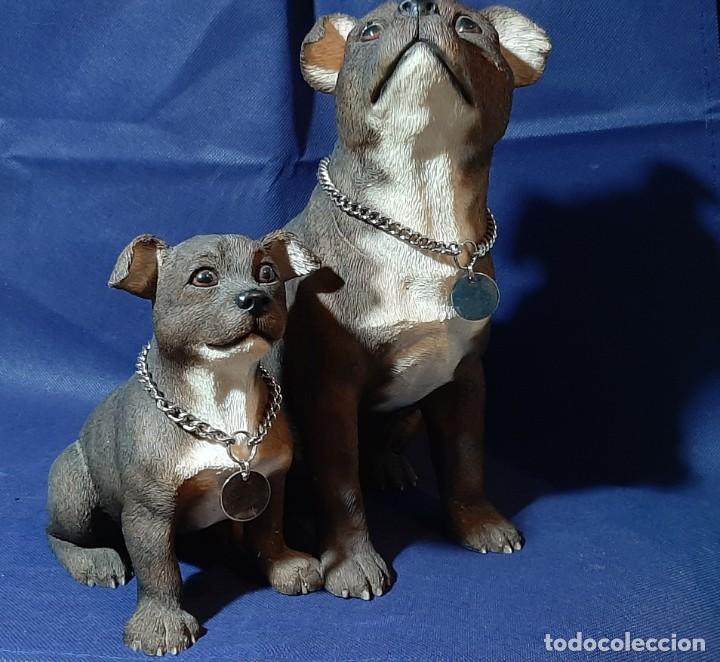Coleccionismo: Perros The Leonardo collection dogs - Foto 2
