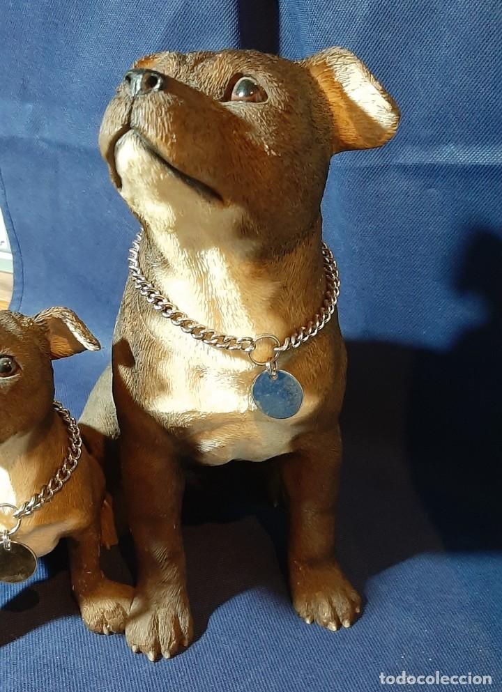 Coleccionismo: Perros The Leonardo collection dogs - Foto 3