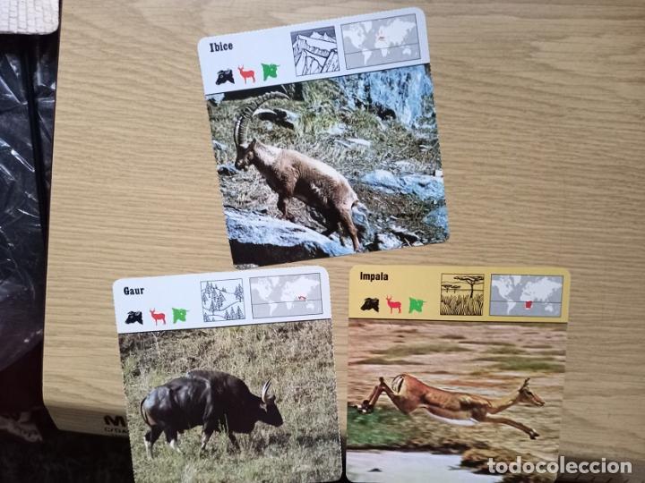Coleccionismo: FICHAS ANIMALES -- IBICE - GAUR - IMPALA - Foto 1